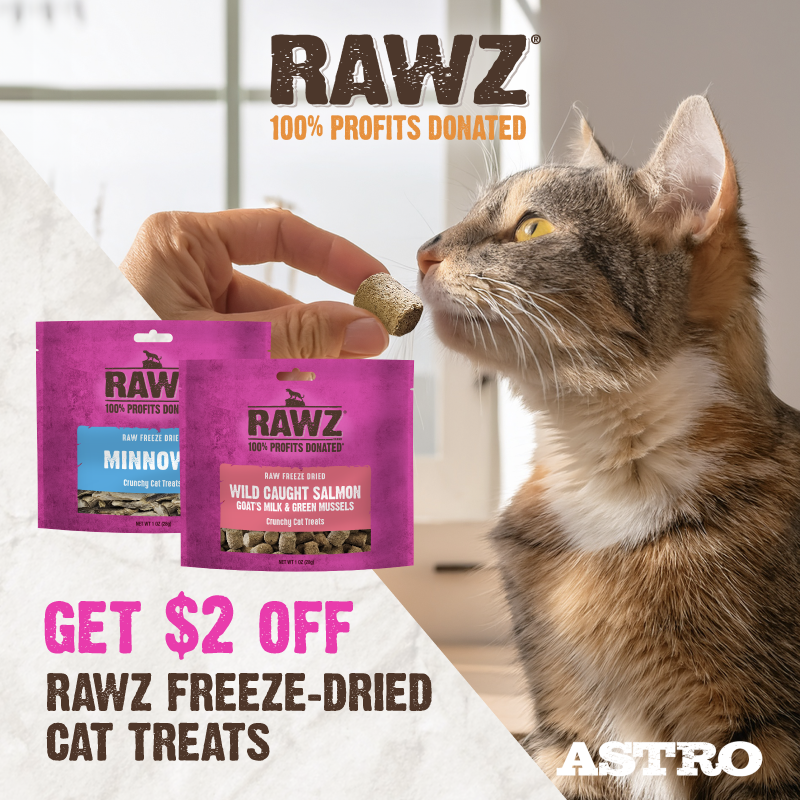 New freeze dried cat treats are available in salmon, minnows, rabbit or venison options. 100% of profits from RAWZ are donated to causes that support pets & people.
