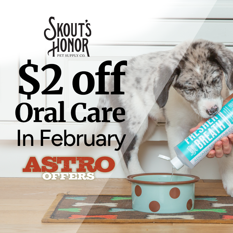 Skout's Honor's life-changing pet essentials include Oral Care, Probiotic Grooming & Wellness, Stain & Odor Solutions, Training Aids and Flea + Tick products. 
