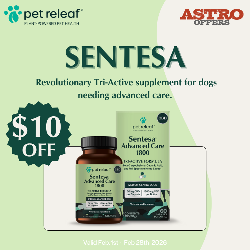 Cold temps, reduced walks, and winter weight gain can make senior dogs limp, stiffen up, and slow down. Sentesa Advanced Care capsules help support smoother movement and more comfortable steps.