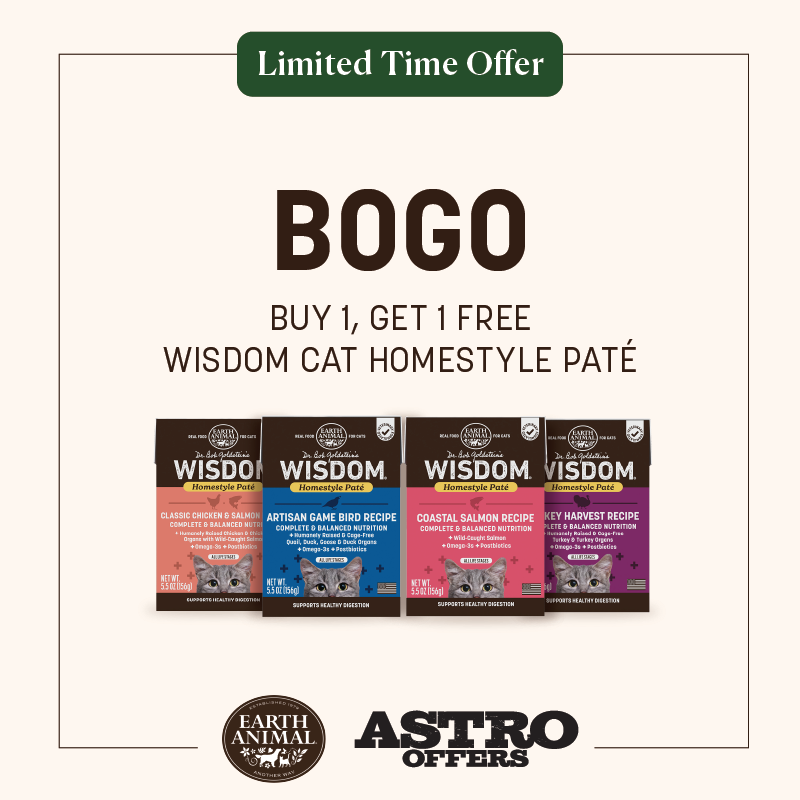 NEW! Dr. Bob Goldstein's Wisdom Homestyle Pate for cats - complete & balanced nutrition with humanely raised proteins, Omega-3s & postbiotics in recyclable Tetra Pak cartons.