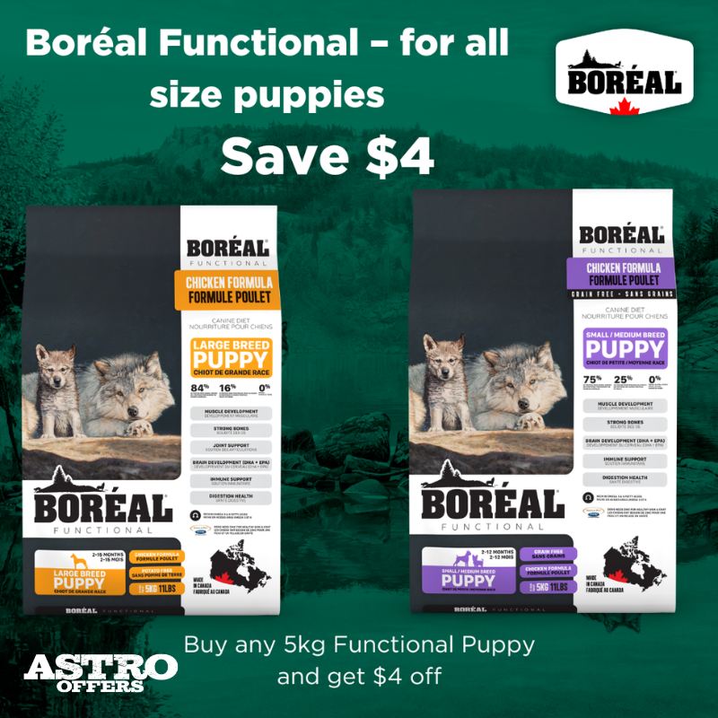 Boreal Puppy has the perfect nutrition for your perfect little puppy! All formulated to help assist their growth, brain, muscle and immune development!