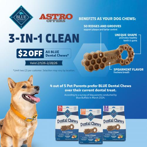 Dental chews can clean teeth, freshen breath, promote gum health and possibly preempt a dreaded visit to the doggy dentist.