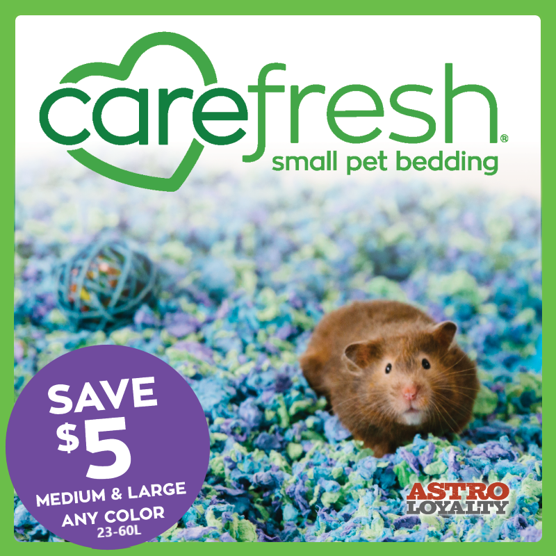 Only carefresh is made from scratch with pillowy soft, ultra absorbent comfyfluff paper fiber designed specifically for small pets. Provides a soft, safe, clean, dry home. 