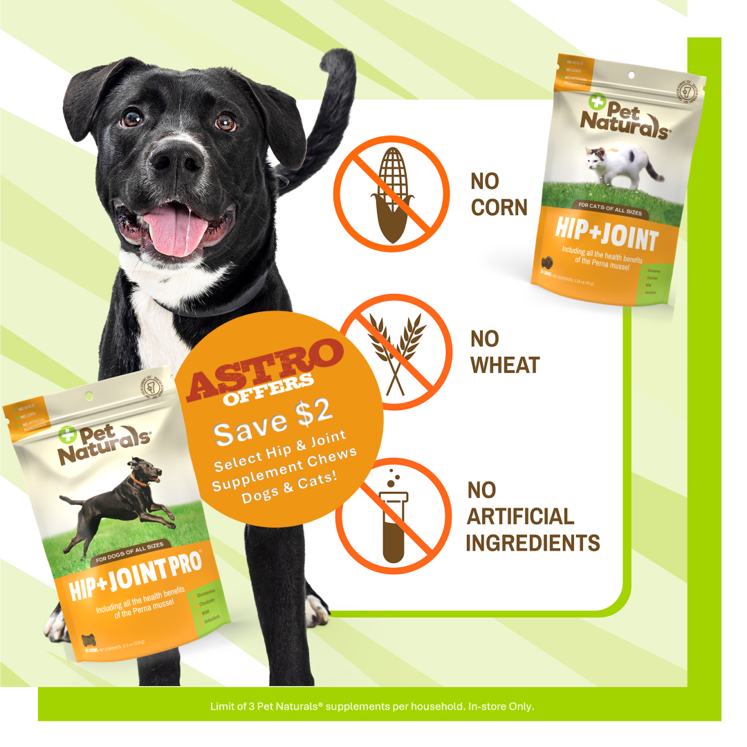 Hip & Joint Health Chews for Dogs and Cats - Specific Product for each pet, from our veterinarian-led formulas! 100% Satisfaction Guaranteed!