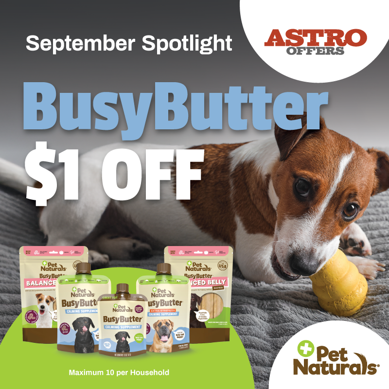 BusyButter Balanced Belly Bones make it easy! These, mess-free delicious peanut butter chew bones are made with dog-friendly peanut butter, pumpkin, and added probiotics to offer amazing benefits!