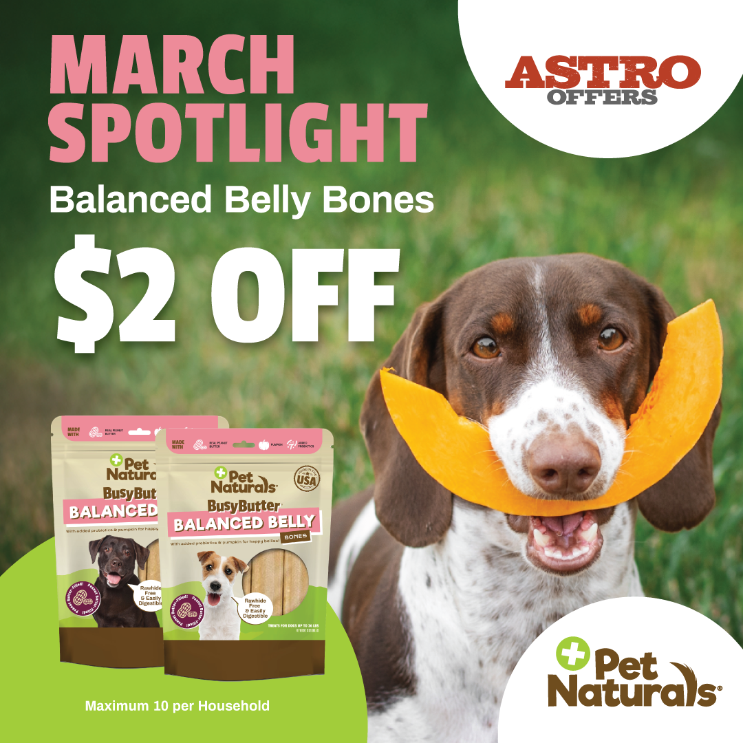 BusyButter Balanced Belly Bones make it easy! These, mess-free delicious peanut butter chew bones are made with dog-friendly peanut butter, pumpkin, and added probiotics to offer amazing benefits!