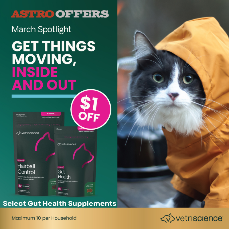 Get Things Moving Inside & Out with VetriScience supplements, veterinarian formulated to support healthy gut function for Cats!
