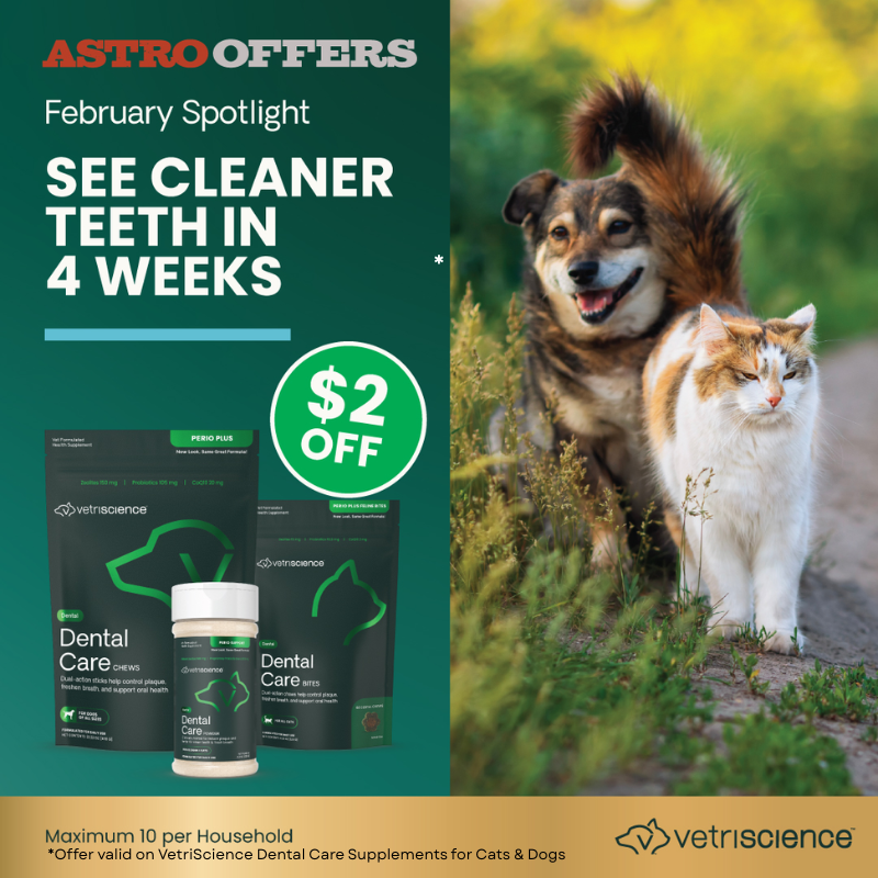 Dental Care for Dental Health Month!
New names; veterinarian-formulated dental health supplements including clinically tested ingredients!

See cleaner teeth in as little as 4 weeks.