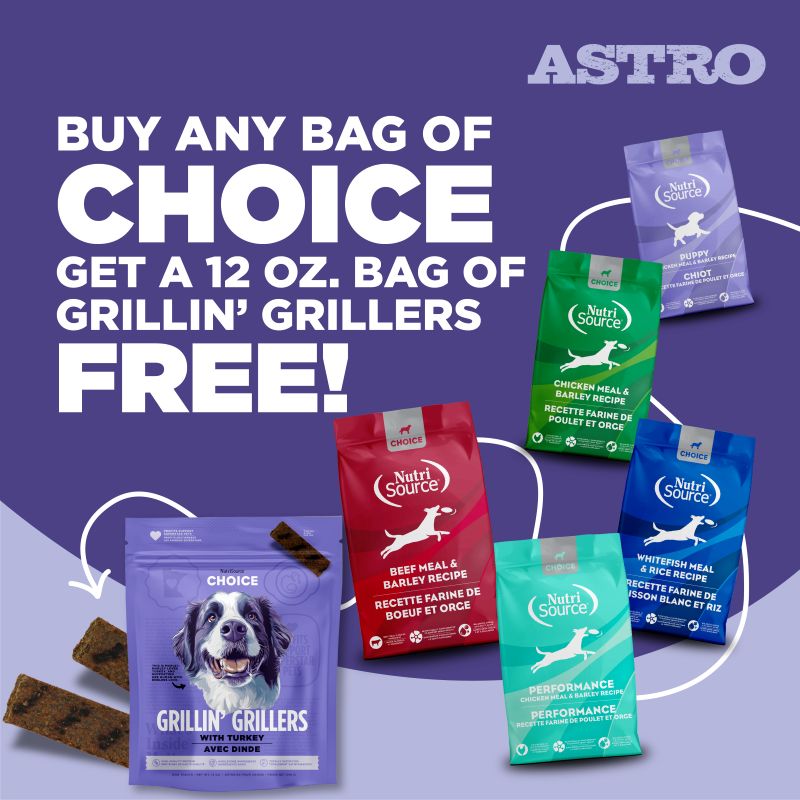 Our Choice diets prioritize animal protein as the #1 ingredient, delivering compact nutrition to support your dog's well-being at an affordable price point. Everyday Value, Everyday Health