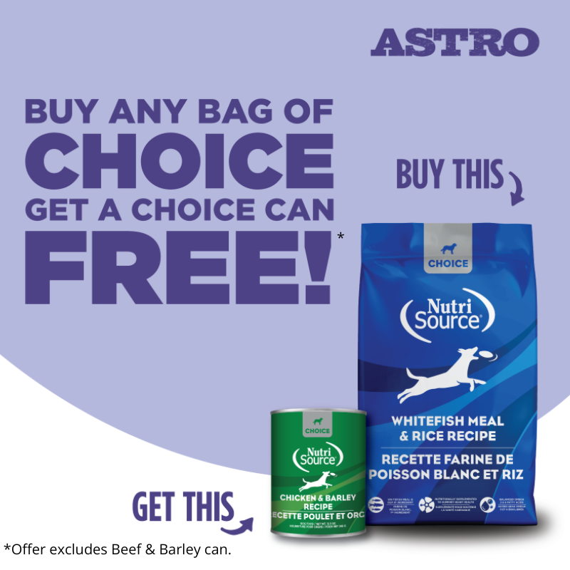Our Choice diets prioritize animal protein as the #1 ingredient, delivering compact nutrition to support your dog's well-being at an affordable price point. Everyday Value, Everyday Health
