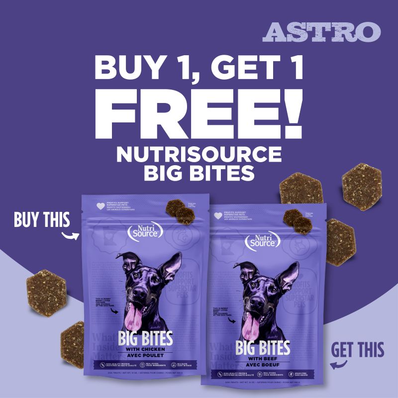 Big Bites make perfect training treats for your pup!