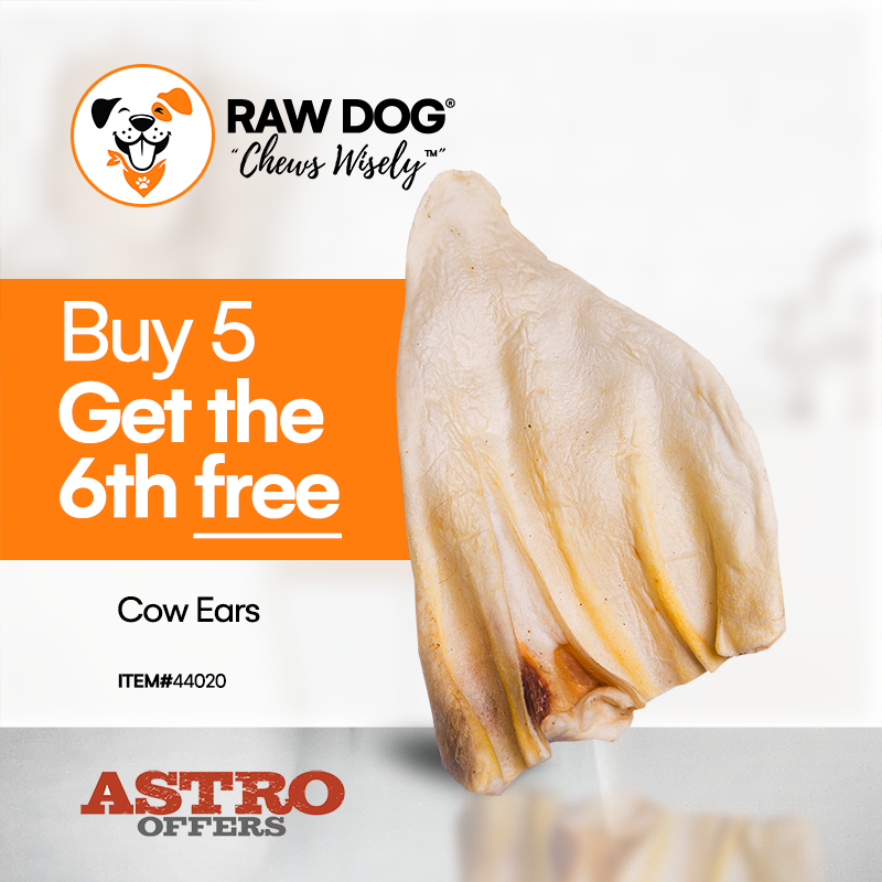 Our all-natural, highly digestible cow ears are a great alternative to rawhide chews. Slow roasted for hours, they are packed with mouth-watering flavor dogs love!