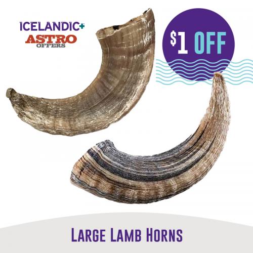 Icelandic+ | $1.00 OFF Large Lamb Horns