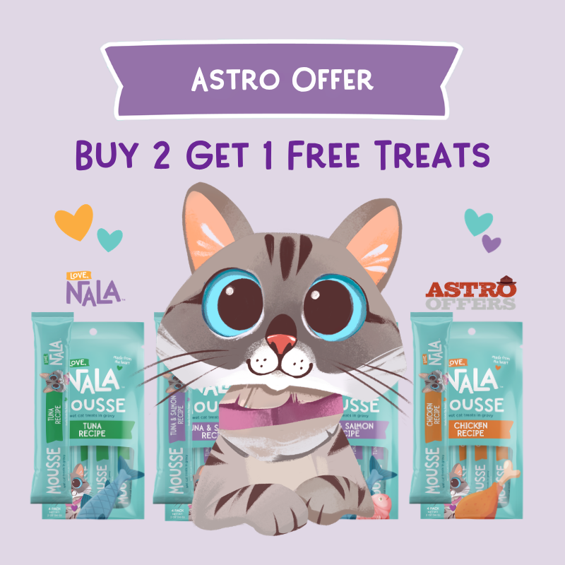 Whipped to creamy perfection, Love, Nala mousse is a luxuriously light puree that will delight your cat's taste buds and enrich their wellbeing.
