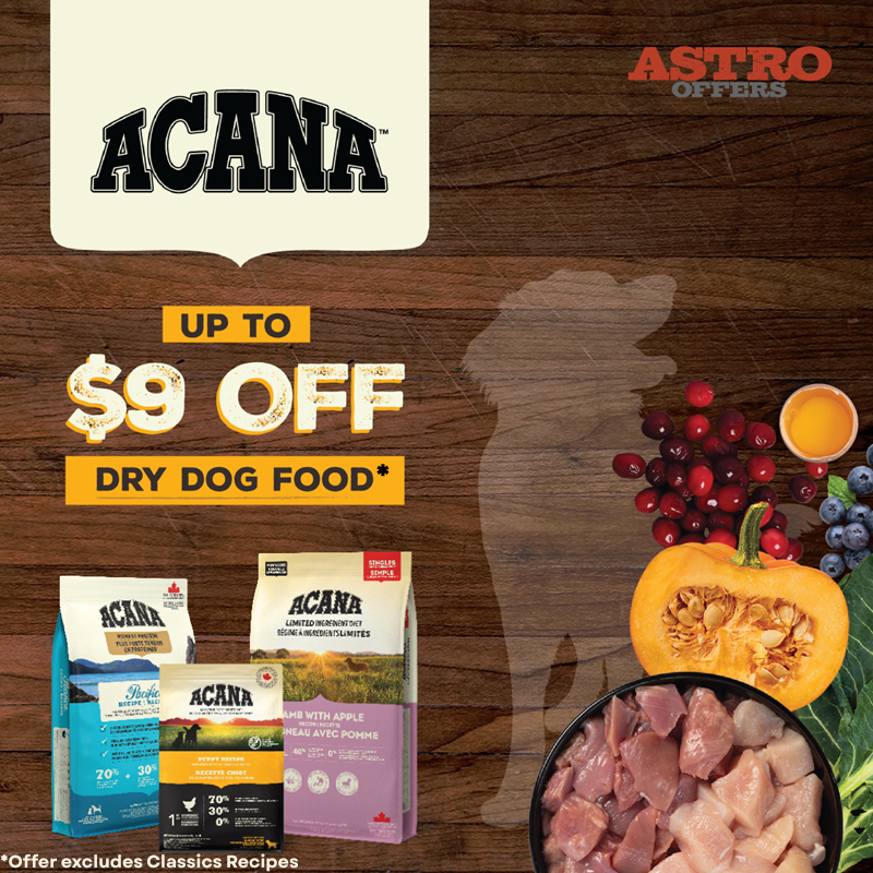 ACANA foods are crafted with fresh or raw premium animal ingredients balanced with whole fruit and vegetables to ensure your pet lives a full and healthy life as a happy member of your family.