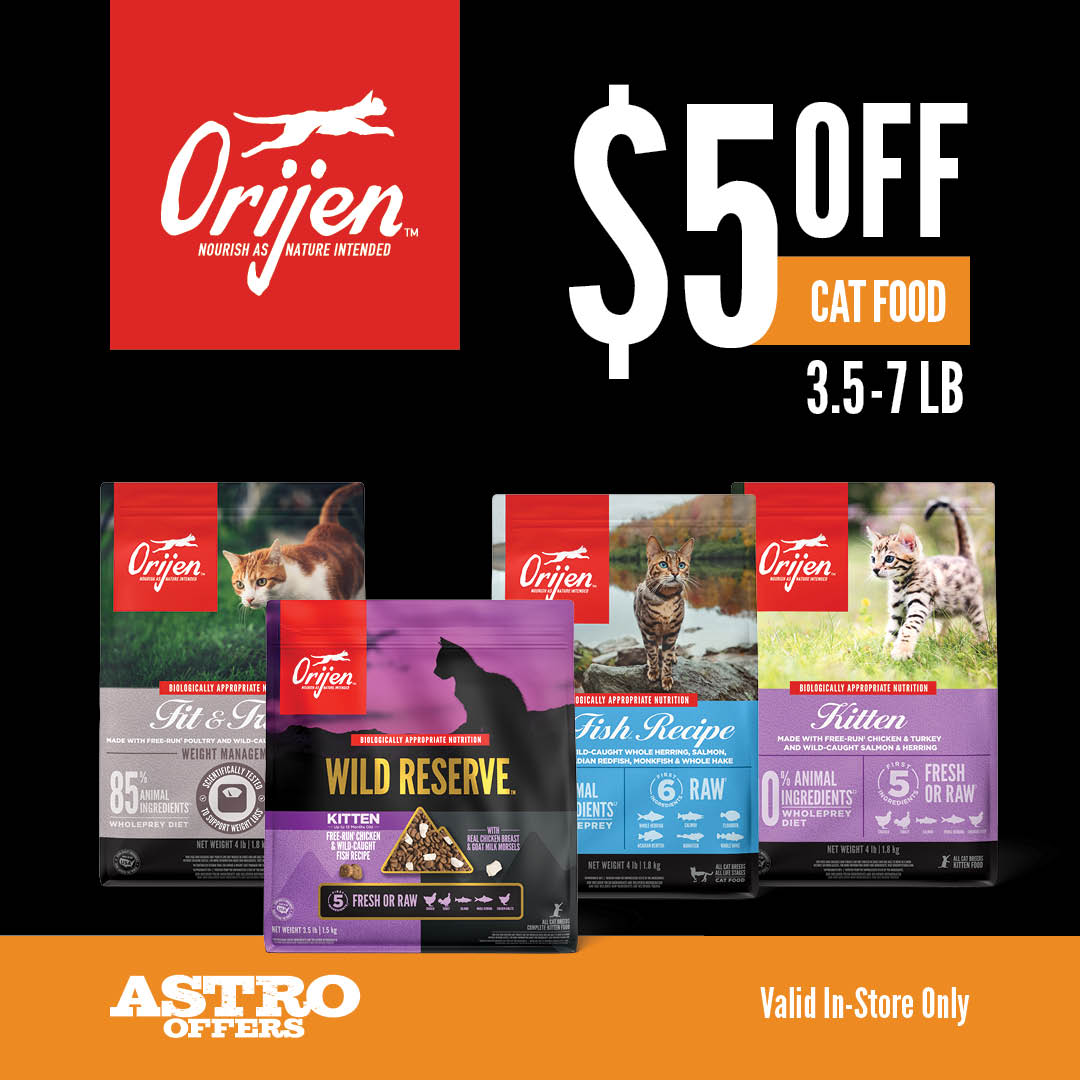 Help your cat thrive with the power of protein-rich recipes that provide peak nourishment.